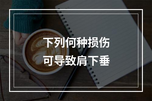 下列何种损伤可导致肩下垂