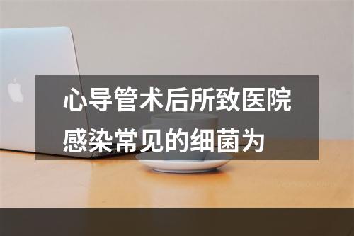 心导管术后所致医院感染常见的细菌为