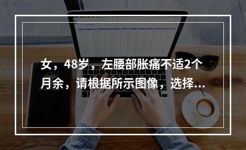 女，48岁，左腰部胀痛不适2个月余，请根据所示图像，选择最可