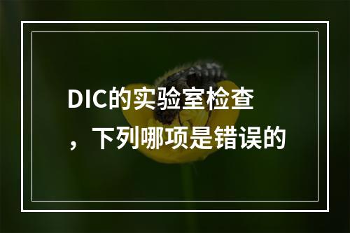 DIC的实验室检查，下列哪项是错误的