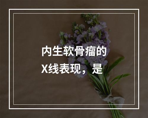 内生软骨瘤的X线表现，是