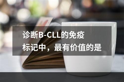 诊断B-CLL的免疫标记中，最有价值的是