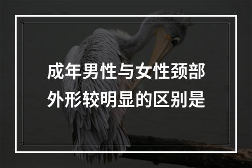 成年男性与女性颈部外形较明显的区别是