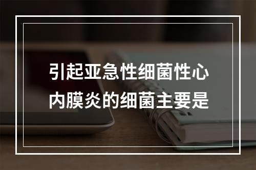 引起亚急性细菌性心内膜炎的细菌主要是