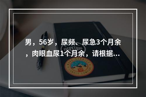 男，56岁，尿频、尿急3个月余，肉眼血尿1个月余，请根据其影