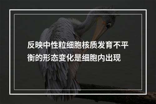 反映中性粒细胞核质发育不平衡的形态变化是细胞内出现