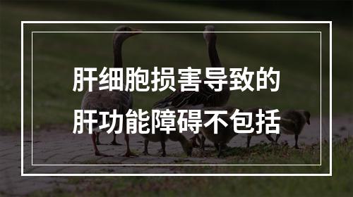 肝细胞损害导致的肝功能障碍不包括