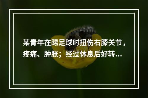 某青年在踢足球时扭伤右膝关节，疼痛、肿胀；经过休息后好转，能