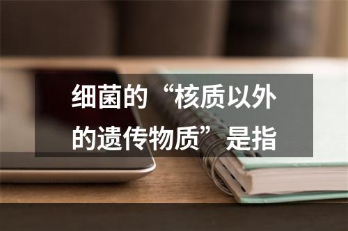 细菌的“核质以外的遗传物质”是指