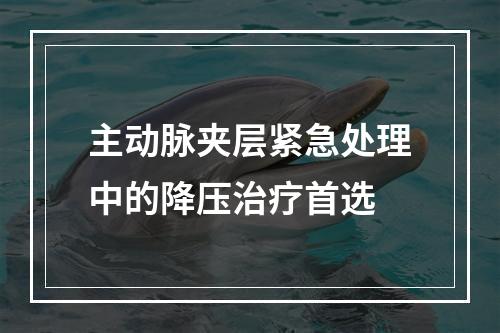 主动脉夹层紧急处理中的降压治疗首选