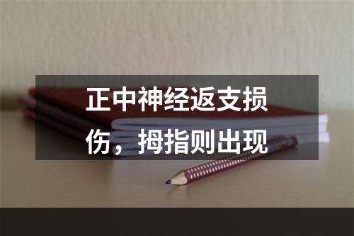 正中神经返支损伤，拇指则出现