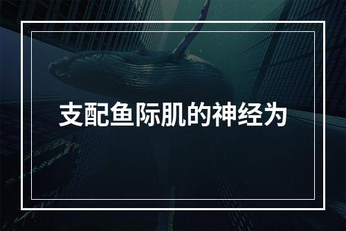 支配鱼际肌的神经为