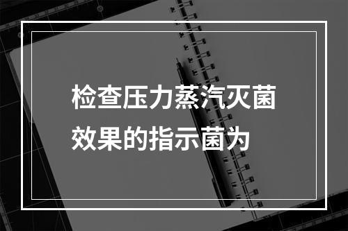 检查压力蒸汽灭菌效果的指示菌为