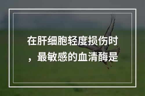 在肝细胞轻度损伤时，最敏感的血清酶是