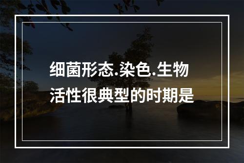 细菌形态.染色.生物活性很典型的时期是