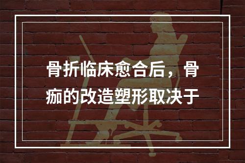 骨折临床愈合后，骨痂的改造塑形取决于