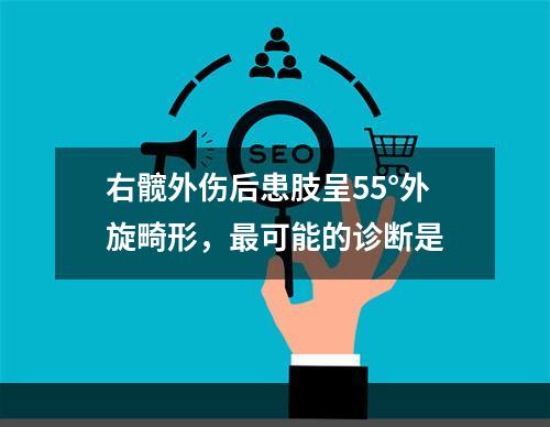 右髋外伤后患肢呈55°外旋畸形，最可能的诊断是