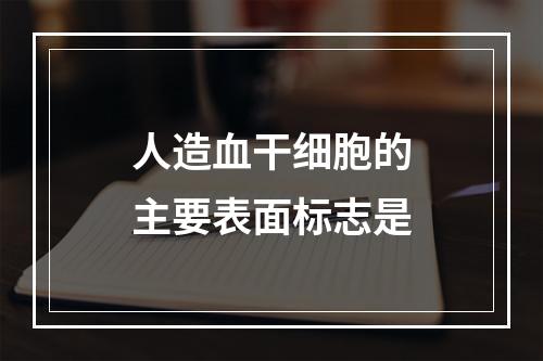 人造血干细胞的主要表面标志是