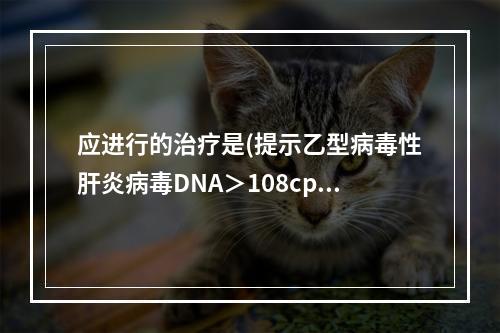 应进行的治疗是(提示乙型病毒性肝炎病毒DNA＞108cps/