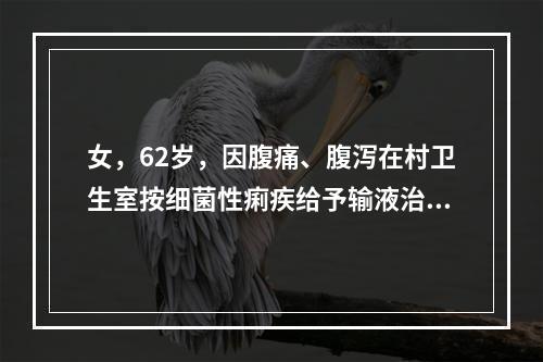 女，62岁，因腹痛、腹泻在村卫生室按细菌性痢疾给予输液治疗，