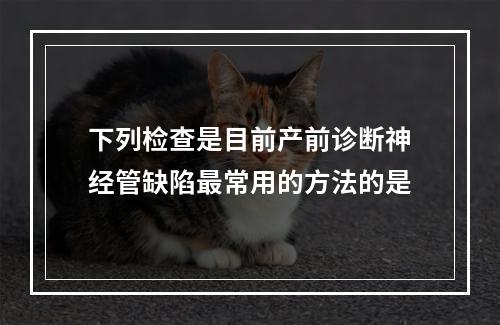 下列检查是目前产前诊断神经管缺陷最常用的方法的是