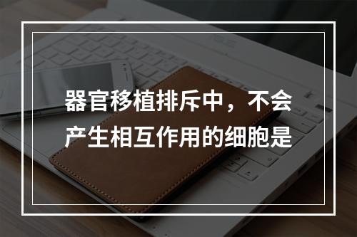 器官移植排斥中，不会产生相互作用的细胞是