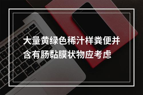 大量黄绿色稀汁样粪便并含有肠黏膜状物应考虑