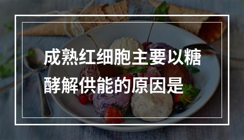 成熟红细胞主要以糖酵解供能的原因是