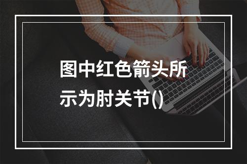 图中红色箭头所示为肘关节()