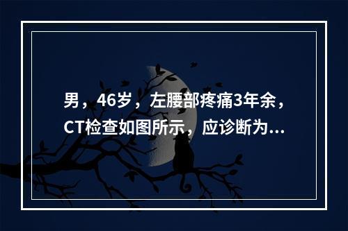 男，46岁，左腰部疼痛3年余，CT检查如图所示，应诊断为()