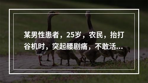 某男性患者，25岁，农民，抬打谷机时，突起腰剧痛，不敢活动腰