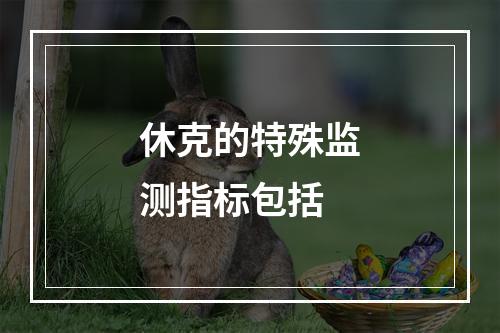 休克的特殊监测指标包括