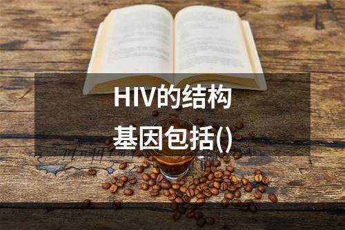 HIV的结构基因包括()