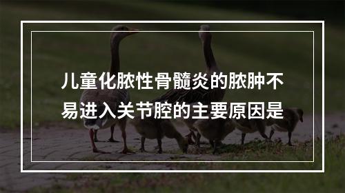 儿童化脓性骨髓炎的脓肿不易进入关节腔的主要原因是