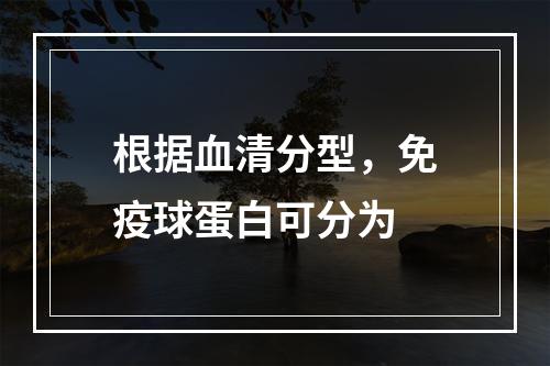 根据血清分型，免疫球蛋白可分为