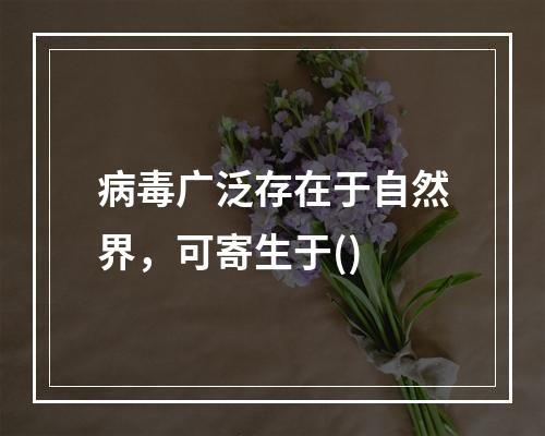 病毒广泛存在于自然界，可寄生于()