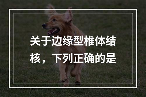 关于边缘型椎体结核，下列正确的是