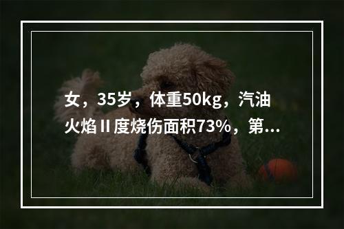 女，35岁，体重50kg，汽油火焰Ⅱ度烧伤面积73%，第一个