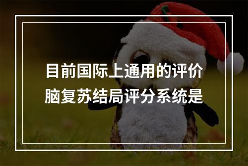 目前国际上通用的评价脑复苏结局评分系统是