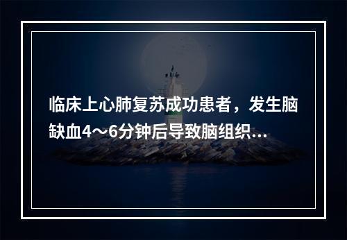 临床上心肺复苏成功患者，发生脑缺血4～6分钟后导致脑组织不可