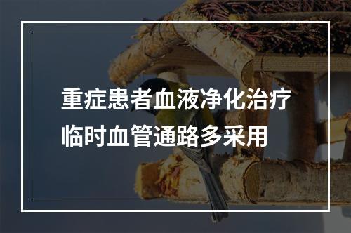 重症患者血液净化治疗临时血管通路多采用