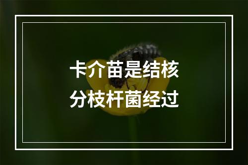 卡介苗是结核分枝杆菌经过