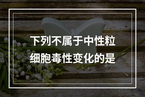 下列不属于中性粒细胞毒性变化的是