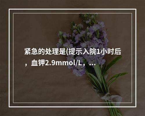 紧急的处理是(提示入院1小时后，血钾2.9mmol/L，心电