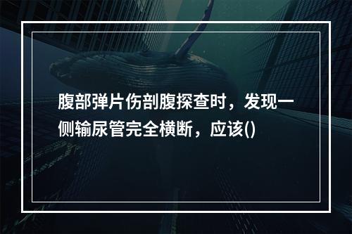 腹部弹片伤剖腹探查时，发现一侧输尿管完全横断，应该()