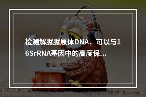 检测解脲脲原体DNA，可以与16SrRNA基因中的高度保守区