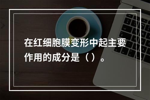 在红细胞膜变形中起主要作用的成分是（ ）。