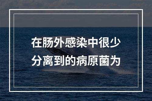 在肠外感染中很少分离到的病原菌为