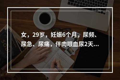 女，29岁，妊娠6个月，尿频、尿急、尿痛，伴肉眼血尿2天，体