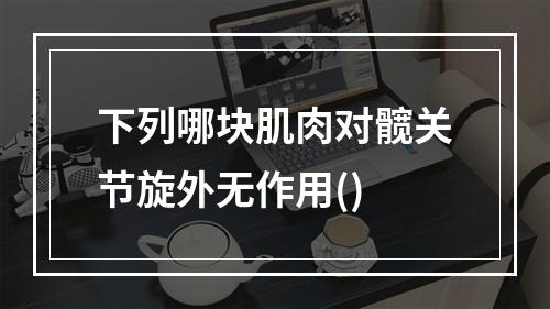 下列哪块肌肉对髋关节旋外无作用()